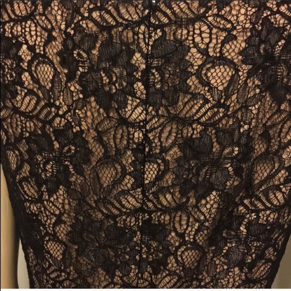 Cache lace dress - Picture 2 of 11